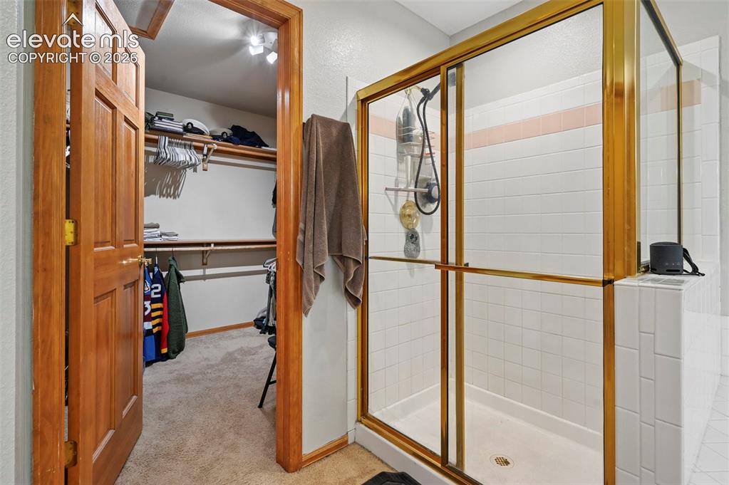 Image 23 of 50: Walk-in closet with built-in shelving, track lighting, and carpet flooring