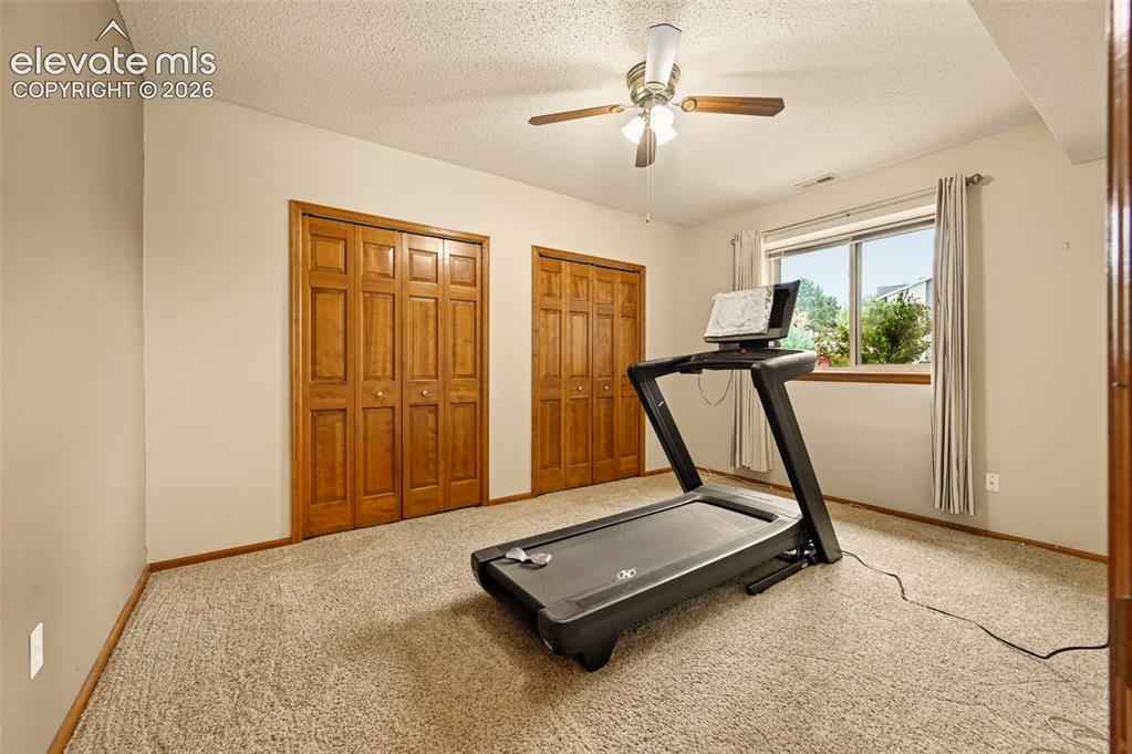Image 34 of 50: Basement bedroom with neutral wall paint, two wood-finish bi-fold closet do