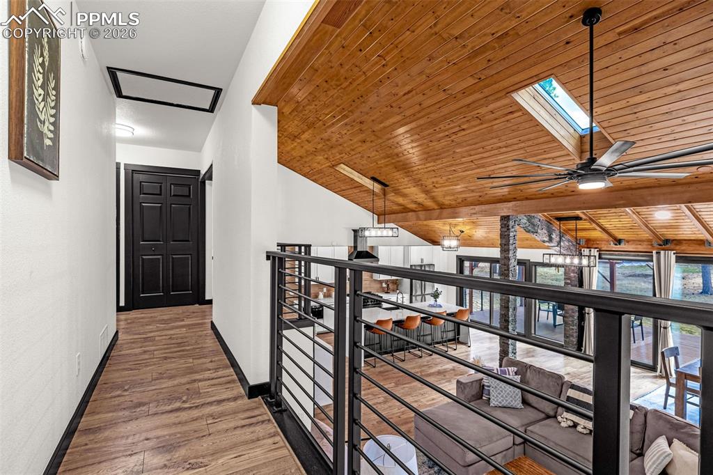 Image 29 of 50: Other