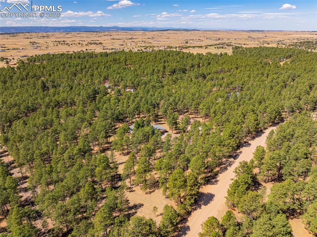 Image 50 of 50: Aerial View