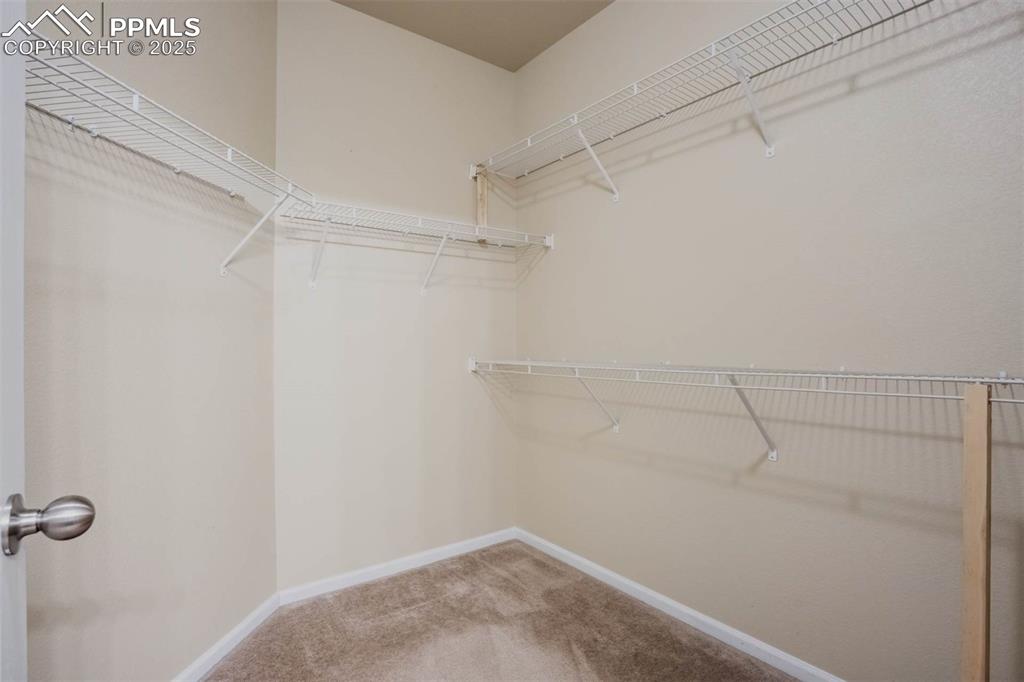 Image 21 of 47: Walk in closet featuring carpet flooring