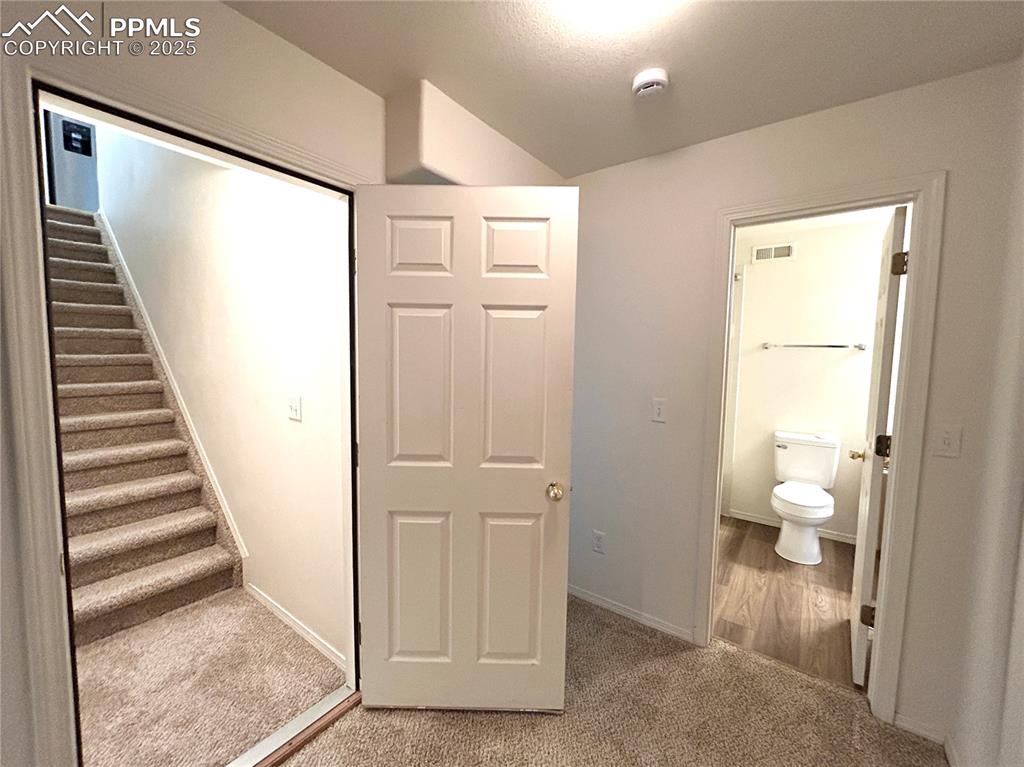 Image 29 of 43: Stairs featuring carpet floors, baseboards, and visible vents