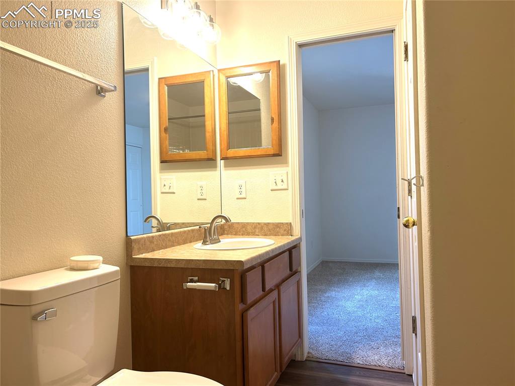 Image 38 of 43: Bathroom with toilet, a textured wall, and vanity