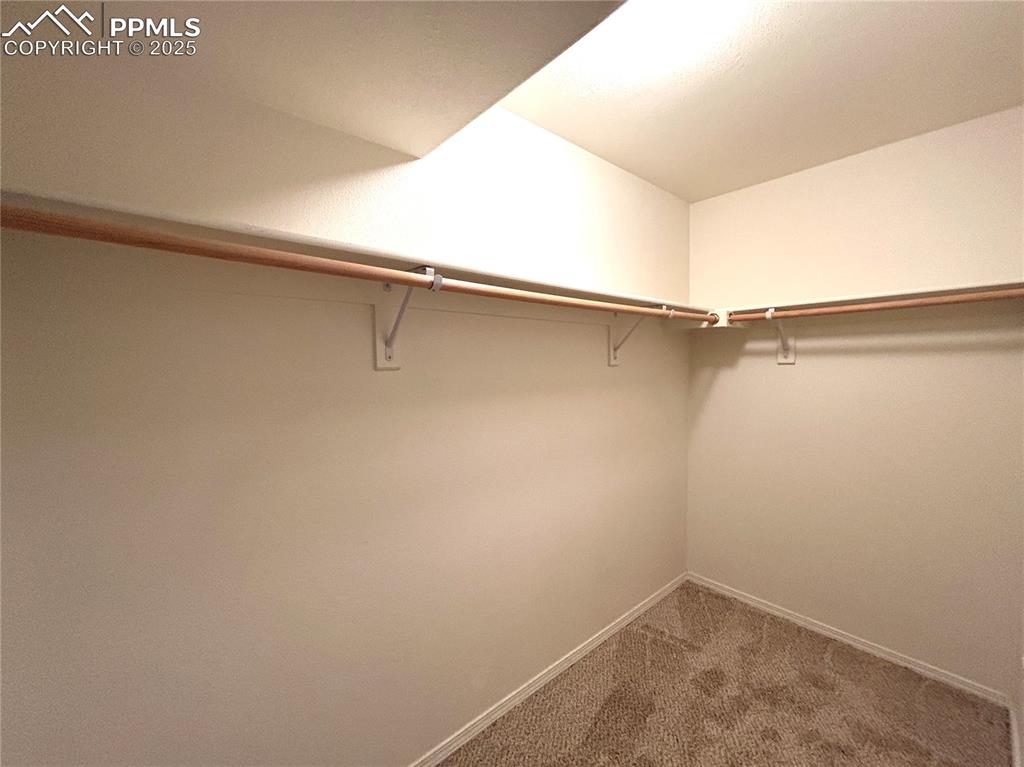 Image 43 of 43: Basement bedroom walk-in closet with carpet flooring