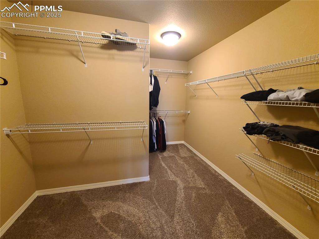 Image 21 of 29: Walk in closet with dark carpet