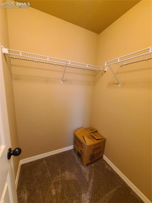 Image 25 of 29: Walk in closet featuring dark colored carpet
