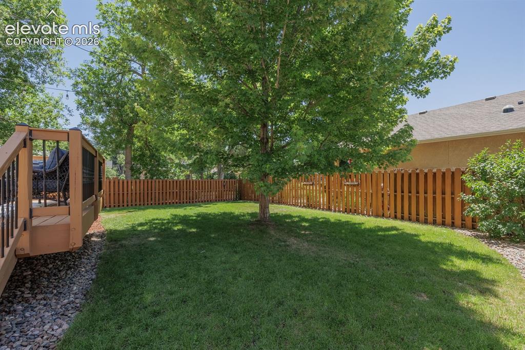 Image 39 of 49: Expansive grassy yard featuring a mature shade tree, full privacy fencing,