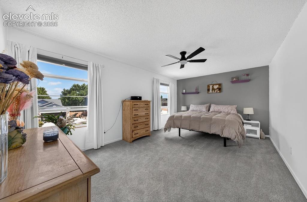 Image 18 of 30: Spacious room with light-colored carpeting, multiple windows, a ceiling fan