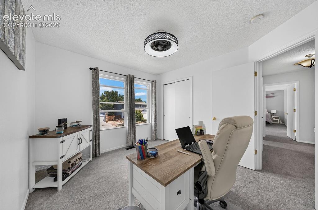 Image 21 of 30: Bright room featuring two windows with curtain rods, a ceiling-mounted ligh