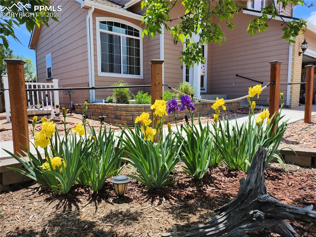 Image 2 of 50: Flowers in bloom throughtout