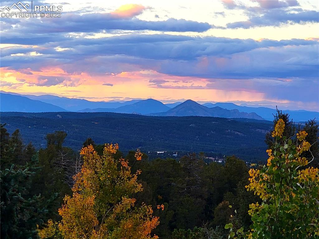 Listing 6764611, Image 50 of 50