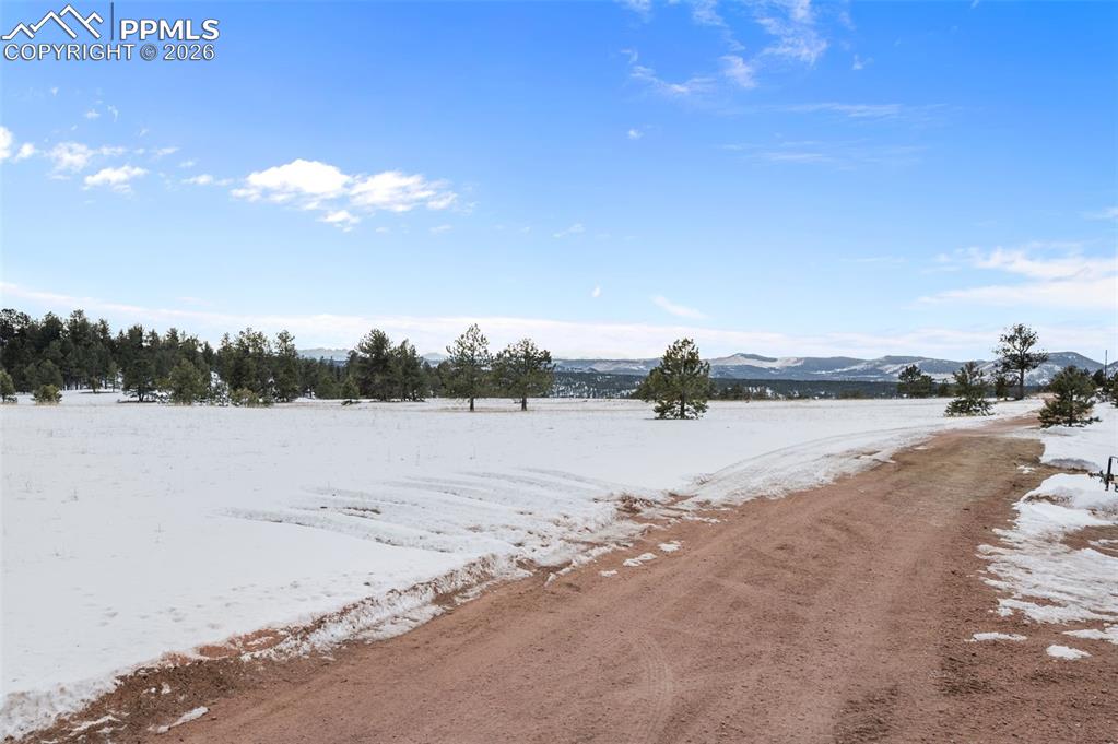 Image 35 of 42: Yard