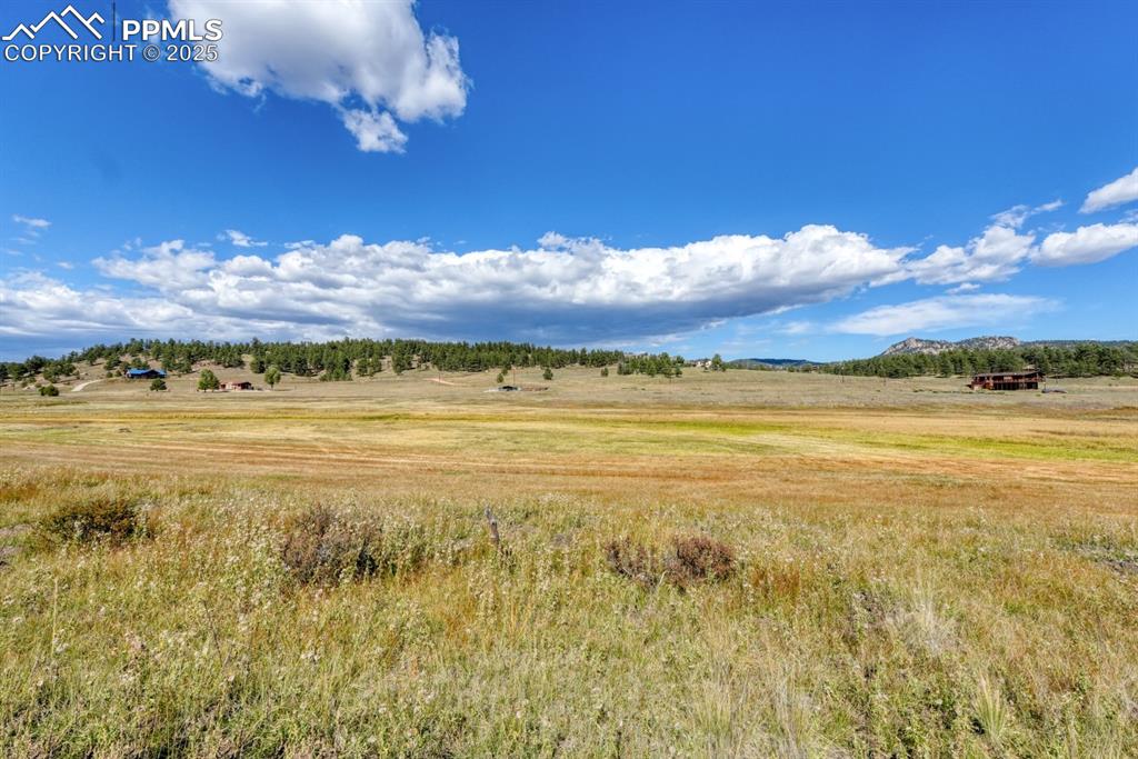 Image 14 of 16: View of undeveloped land