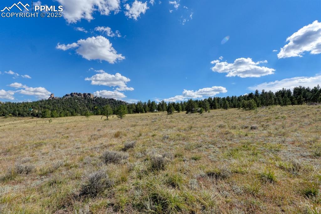 Image 16 of 16: View of wooded area featuring a view of countryside