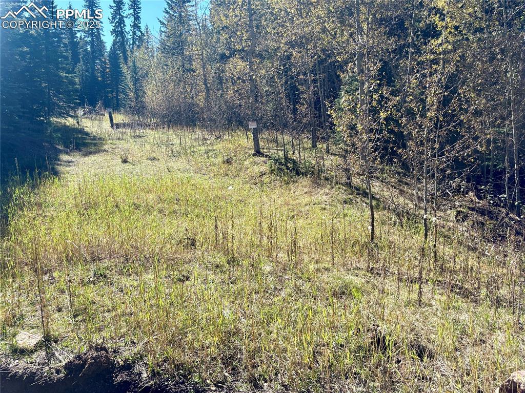 Image 5 of 7: Potential building envelope