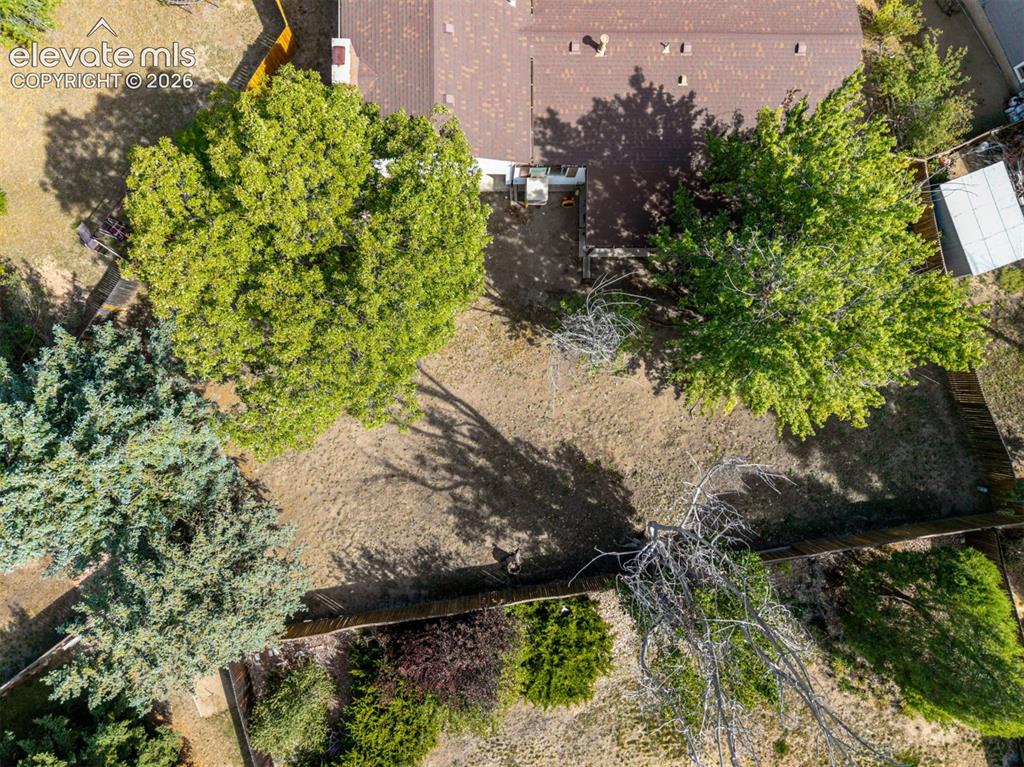 Image 32 of 44: Expansive property featuring mature deciduous trees, evergreen trees, and w