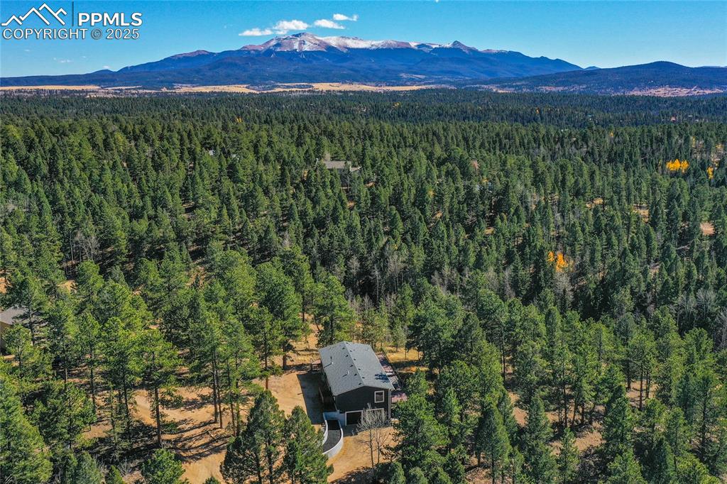 Image 12 of 47: Aerial view of a forest and a mountain backdrop