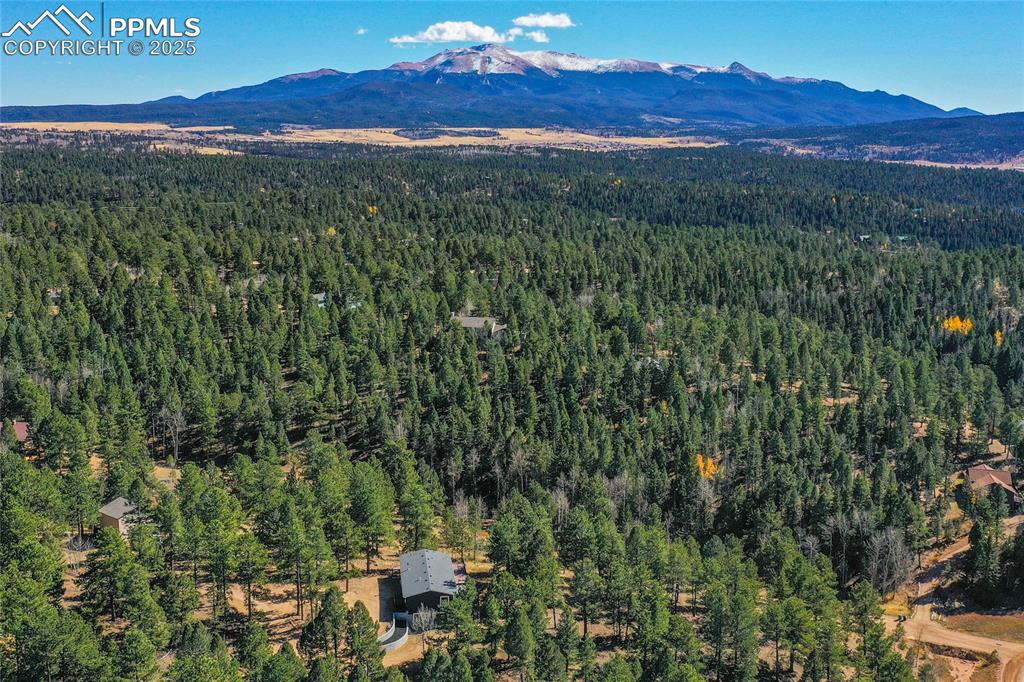 Image 6 of 47: View of mountain backdrop with a forest