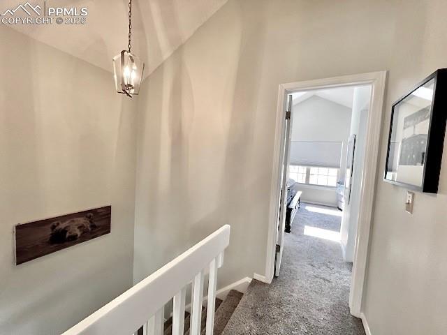 Image 18 of 41: Other