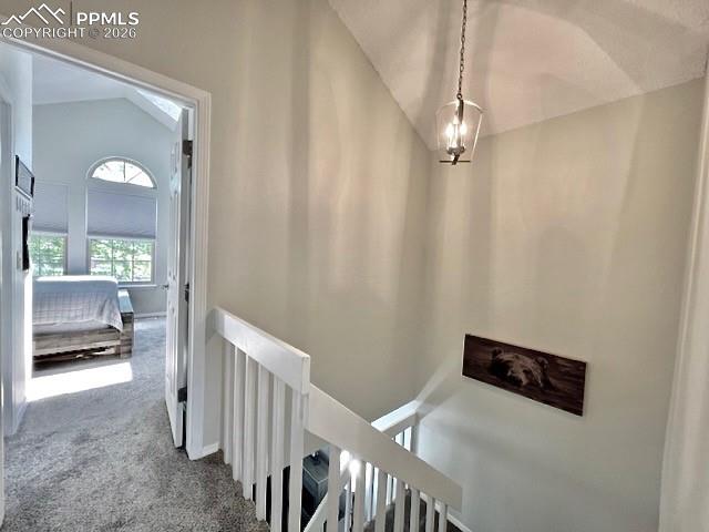 Image 26 of 41: Other