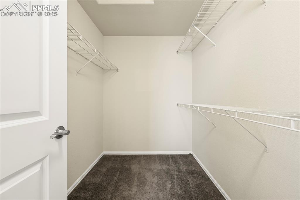 Image 17 of 28: Spacious closet featuring dark colored carpet