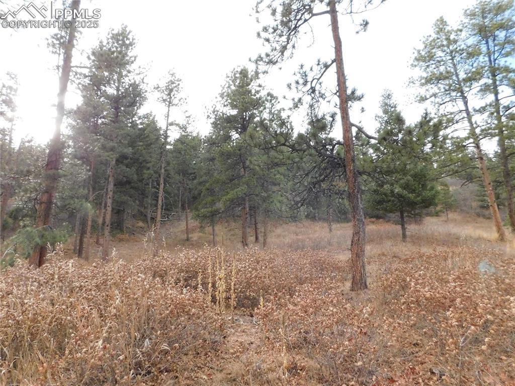 Image 10 of 32: No Description Available