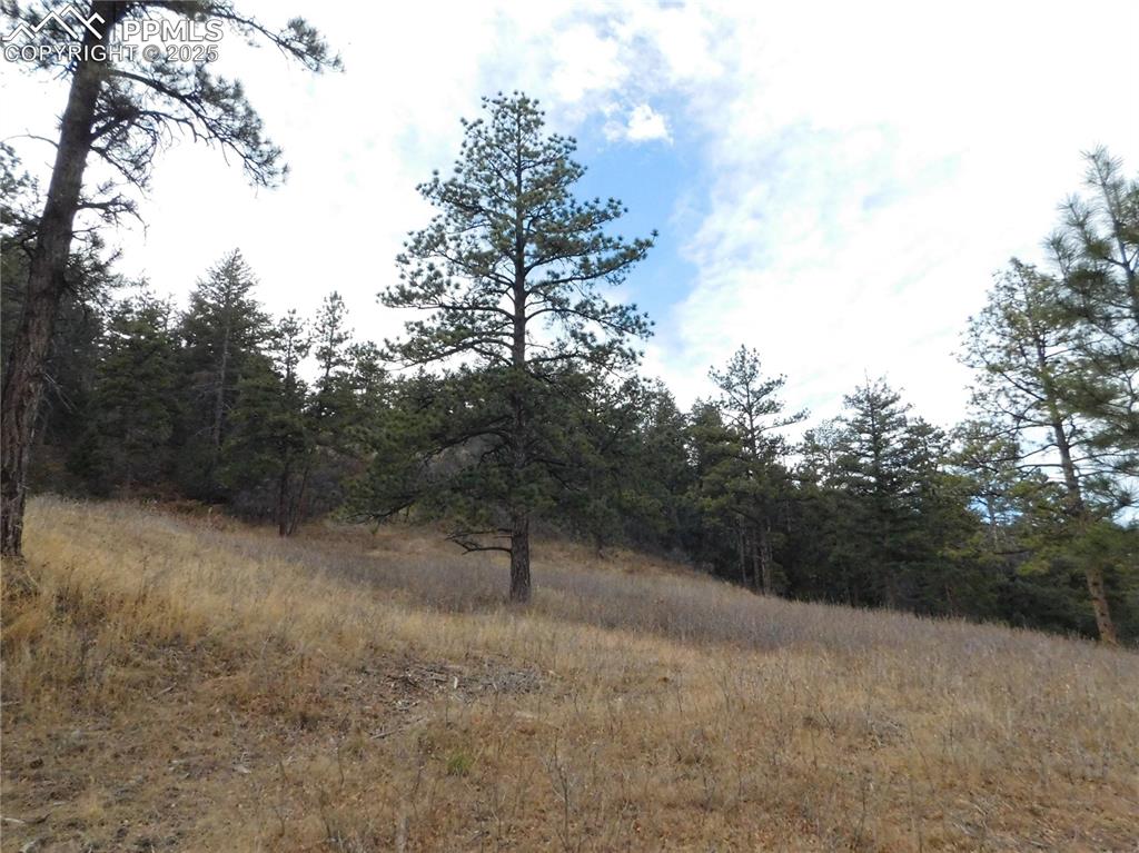 Image 11 of 32: No Description Available