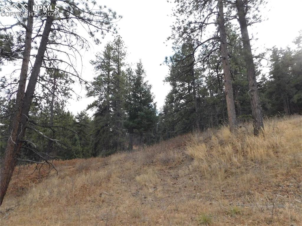 Image 12 of 32: No Description Available