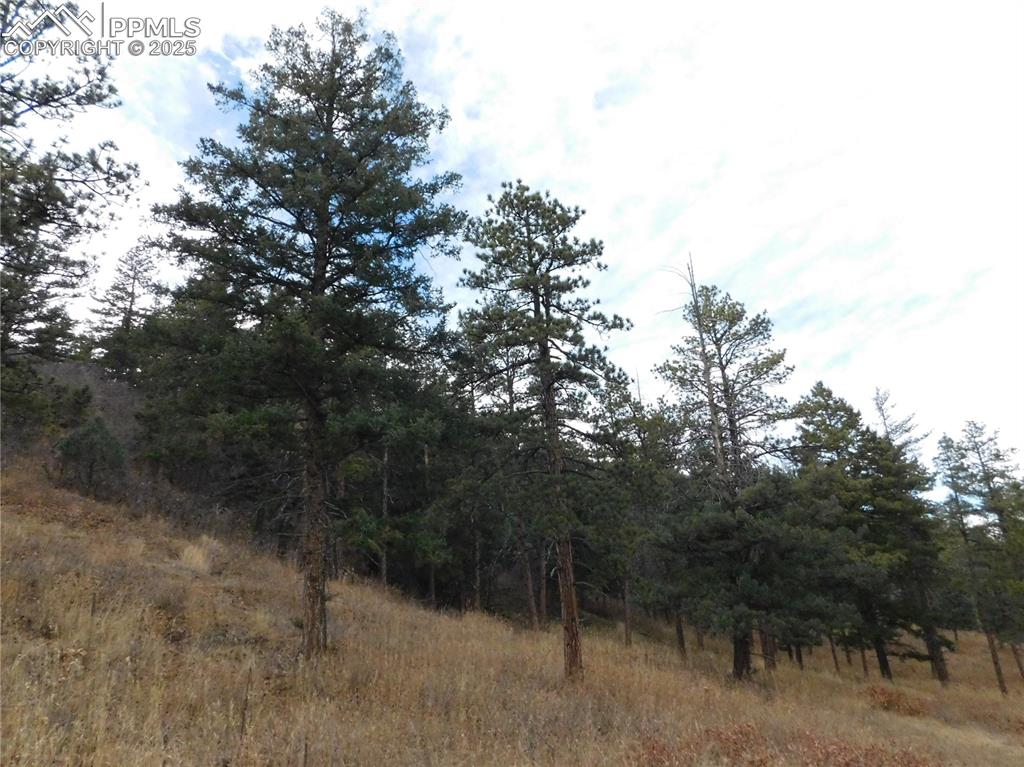 Image 13 of 32: No Description Available