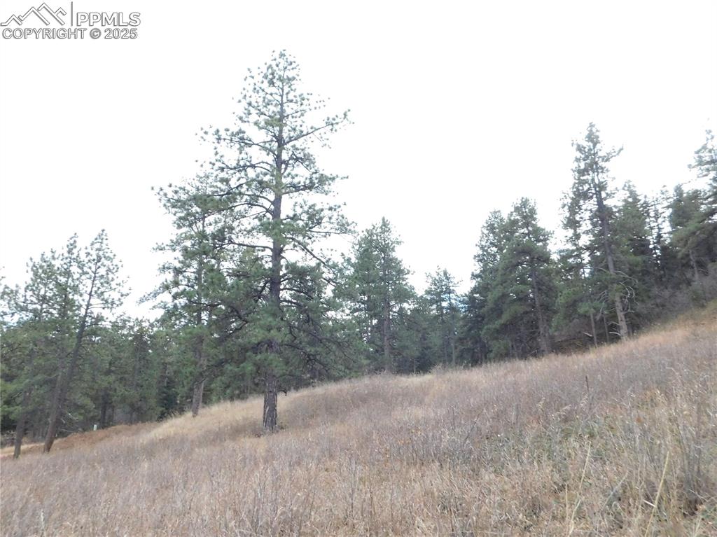 Image 14 of 32: No Description Available