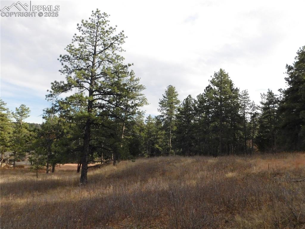 Image 15 of 32: No Description Available