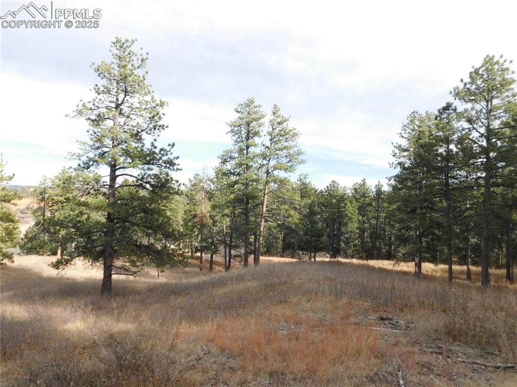 Image 16 of 32: No Description Available