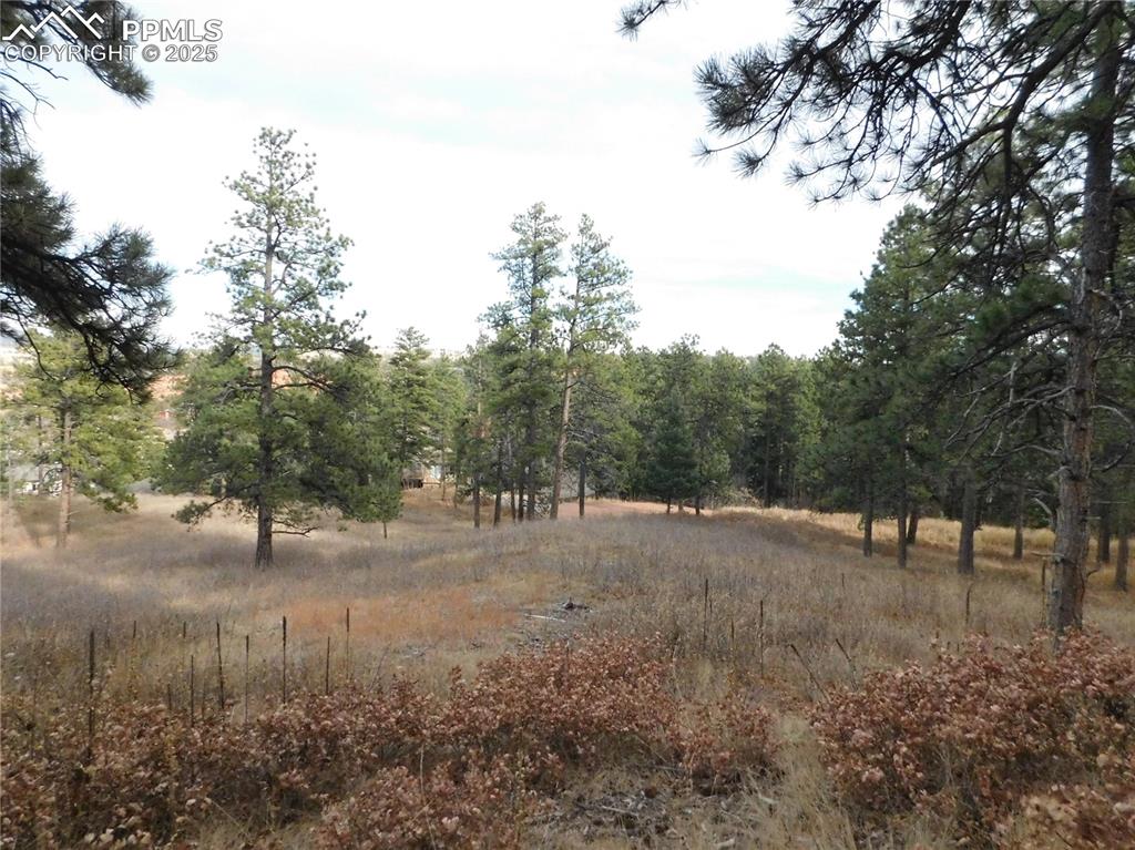 Image 18 of 32: No Description Available