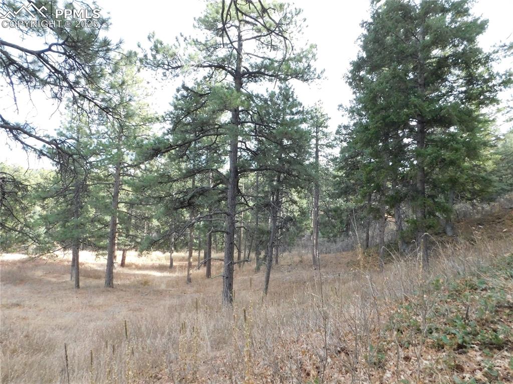 Image 19 of 32: No Description Available