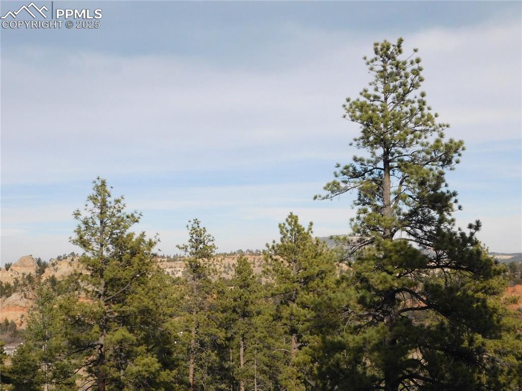 Image 21 of 32: View from Lot