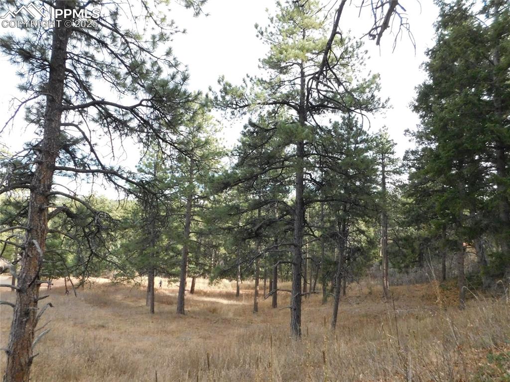 Image 23 of 32: No Description Available