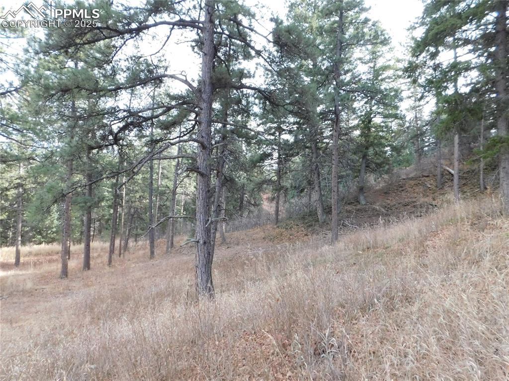 Image 24 of 32: No Description Available