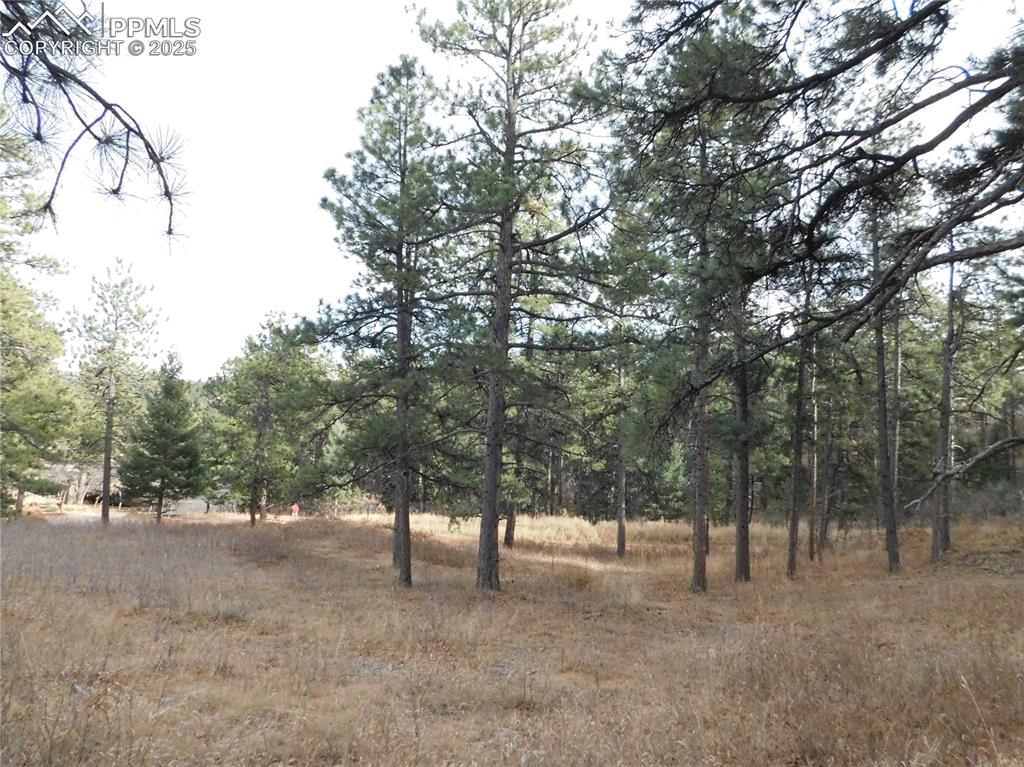 Image 25 of 32: No Description Available