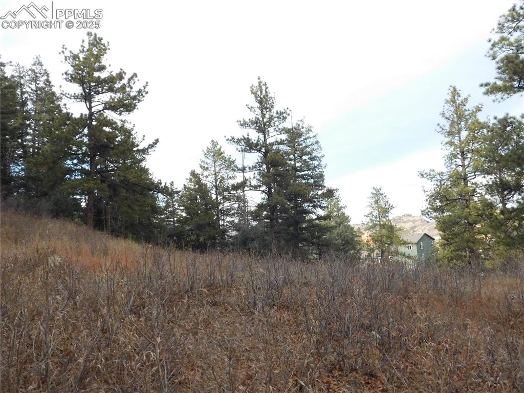 Image 26 of 32: No Description Available