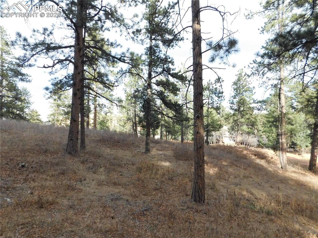 Image 28 of 32: No Description Available