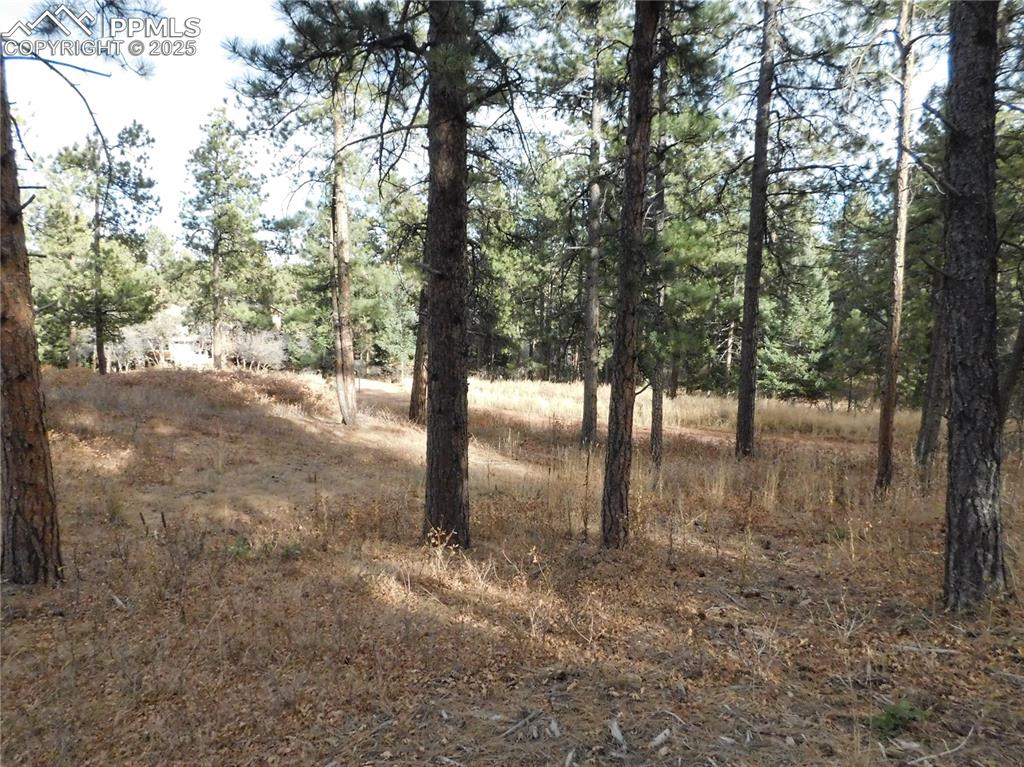 Image 29 of 32: No Description Available