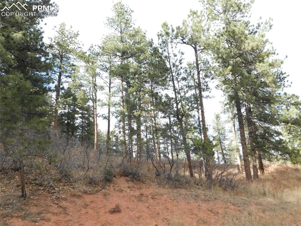 Image 3 of 32: No Description Available