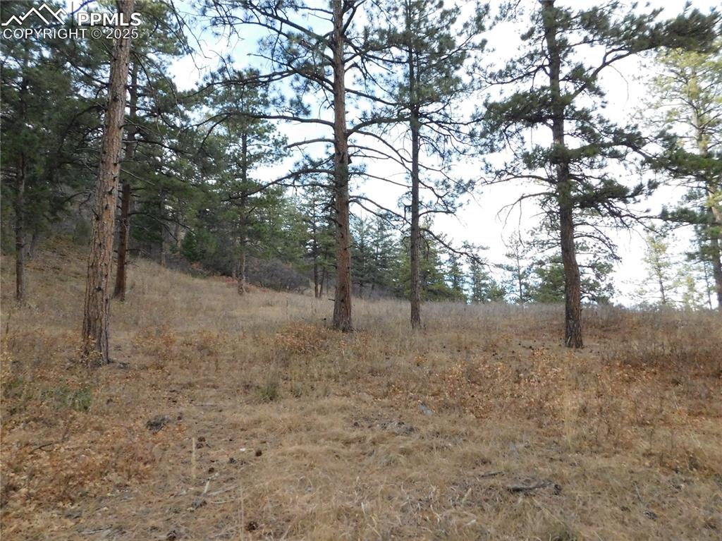 Image 30 of 32: No Description Available