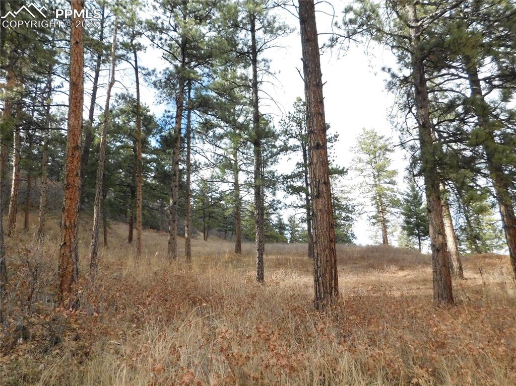 Image 4 of 32: No Description Available