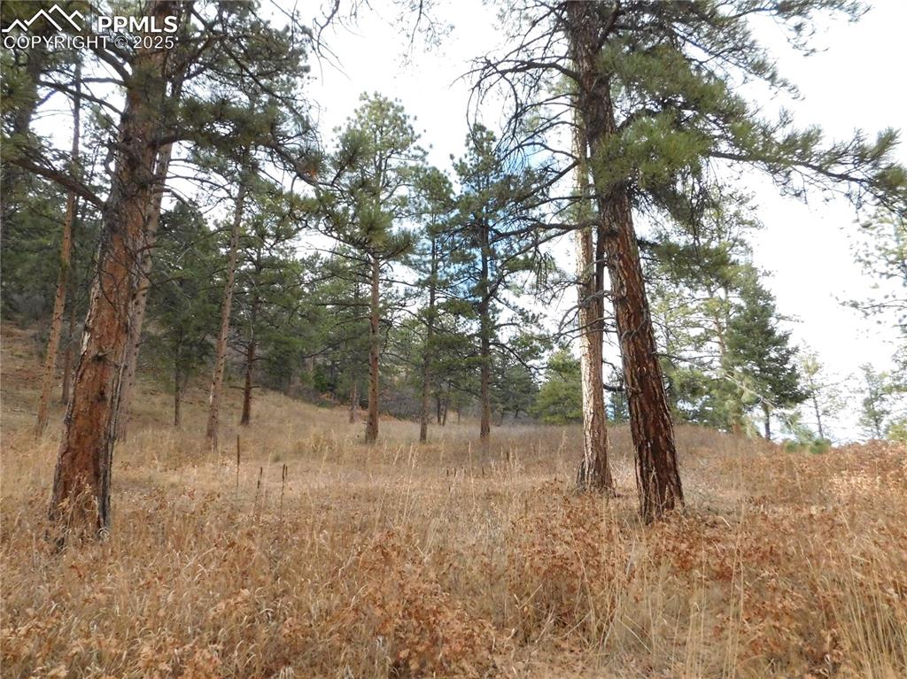 Image 5 of 32: No Description Available