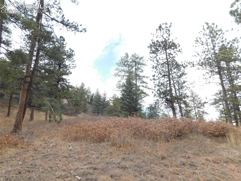 Image 6 of 32: No Description Available