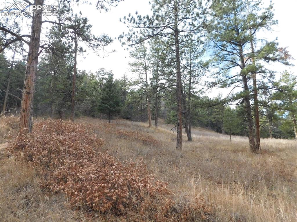 Image 7 of 32: No Description Available