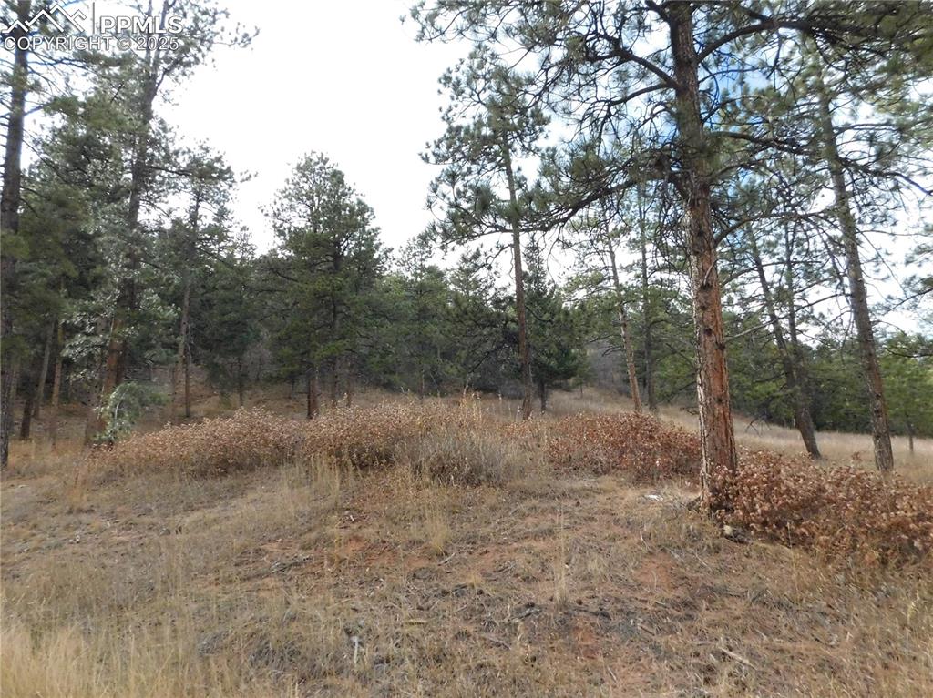 Image 8 of 32: No Description Available