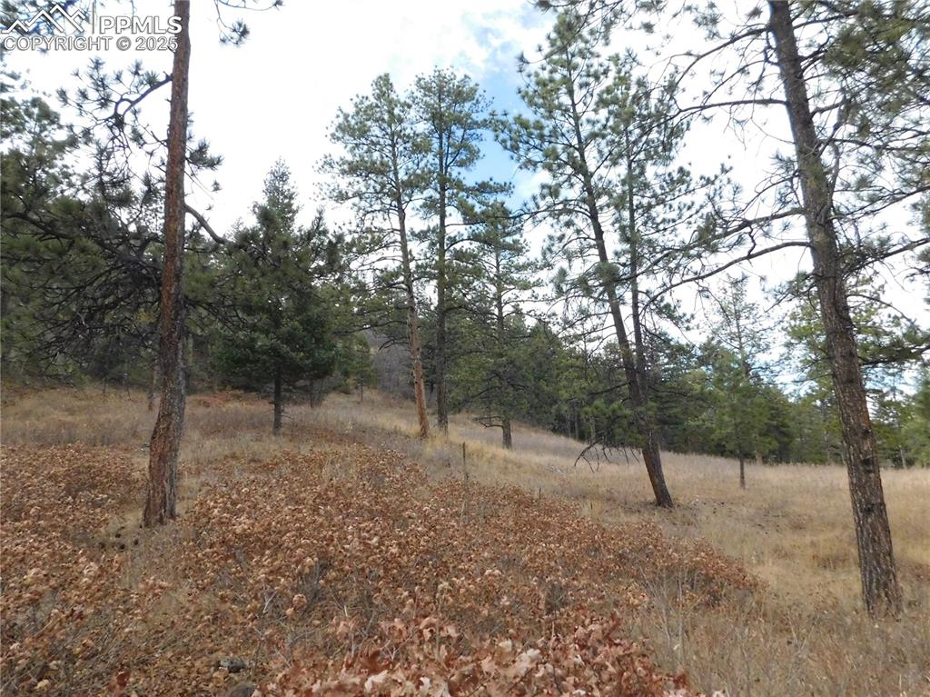 Image 9 of 32: No Description Available