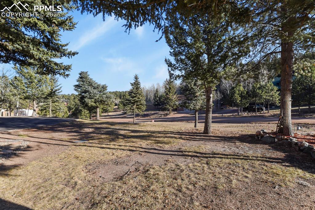 Image 43 of 47: Yard